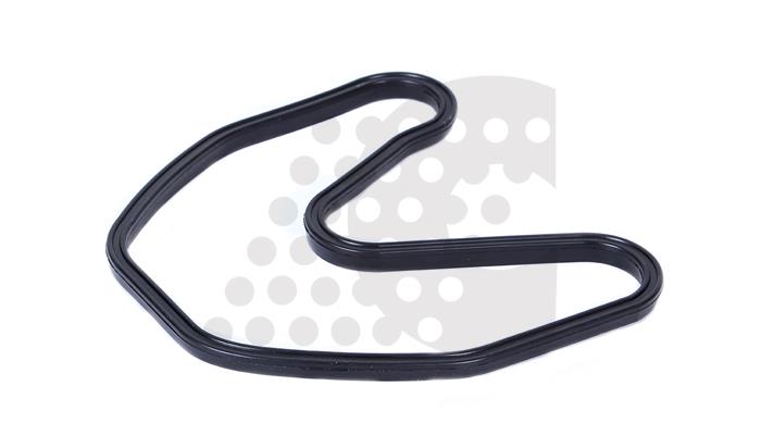 GASKET, CYLINDER HEAD COVER - 03.120.141