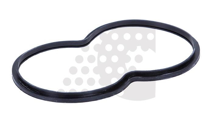 GASKET, THERMOSTAT - 03.306.124