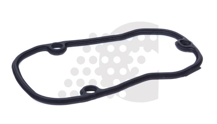 GASKET, CYLINDER HEAD COVER - 03.120.013