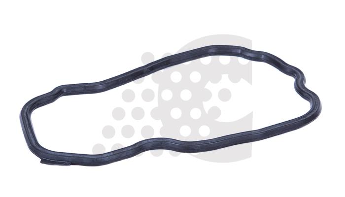 GASKET, CYLINDER HEAD COVER - 03.121.013