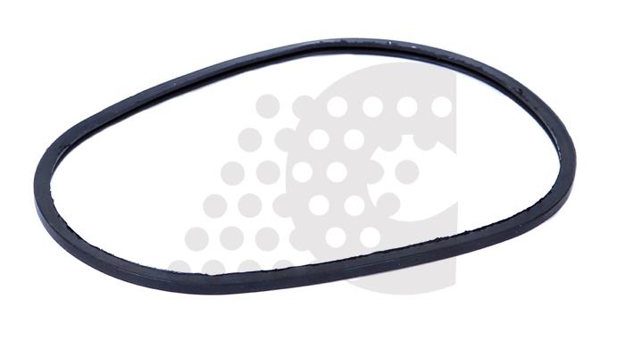 GASKET, THERMOSTAT - 03.306.009