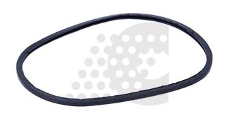 GASKET, THERMOSTAT - 03.306.009