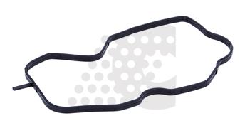 GASKET, CYLINDER HEAD COVER - 03.125.124