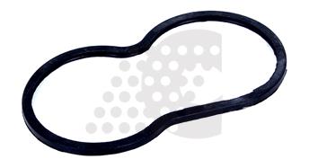 GASKET, THERMOSTAT - 03.305.124