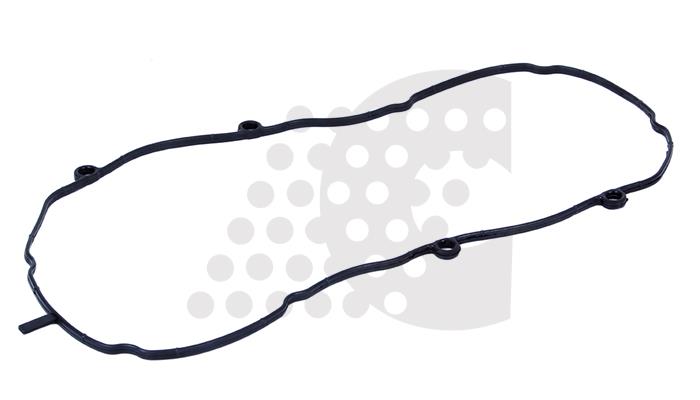 GASKET, OIL COOLER - 03.256.011