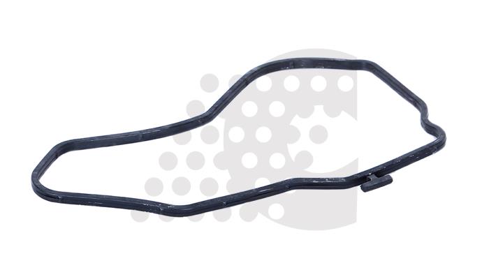 GASKET, WATER PUMP - 03.301.016