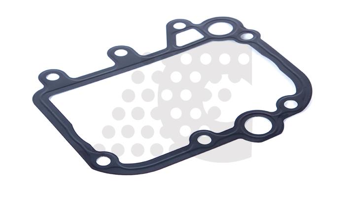 GASKET, OIL COOLER - 02.161.270