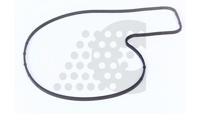 GASKET, WATER PUMP - 03.304.016