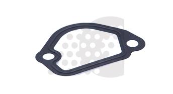 GASKET, WATER PUMP - 02.301.834