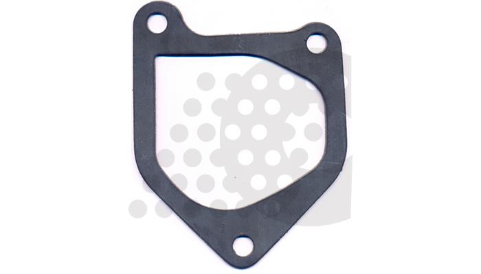 GASKET, TURBOCHARGER - 02.207.410