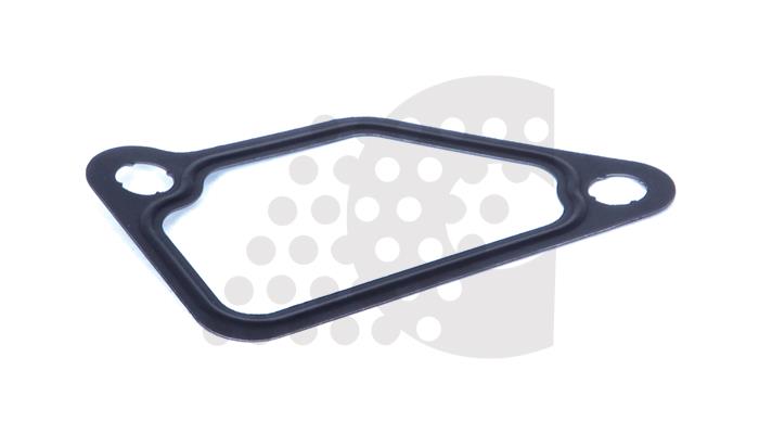 GASKET, THERMOSTAT - 04.307.012