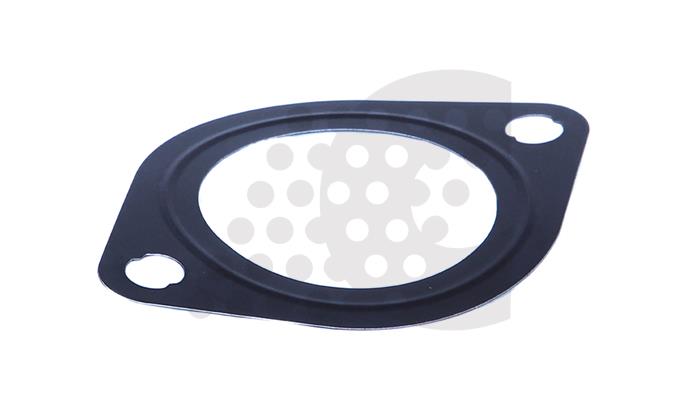 GASKET, WATER PUMP - 04.300.012