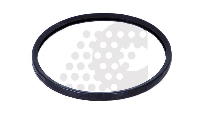 GASKET, THERMOSTAT - 04.305.009