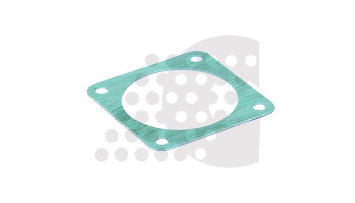 GASKET, THERMOSTAT - 07.309.009