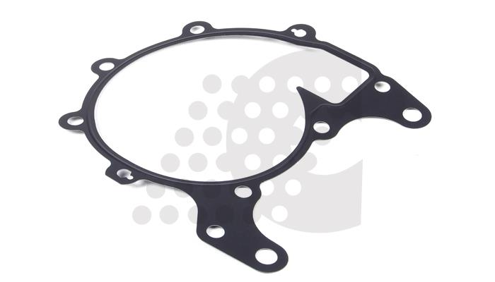 GASKET, WATER PUMP - 07.300.007