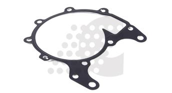 GASKET, WATER PUMP - 07.300.007