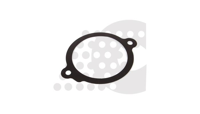 GASKET, THERMOSTAT - 07.306.007