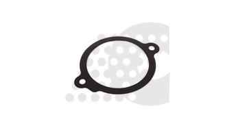 GASKET, THERMOSTAT - 07.306.007