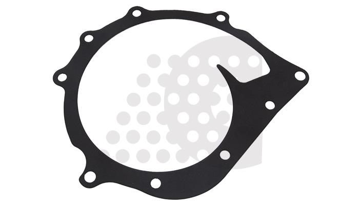 GASKET, WATER PUMP - 03.300.013