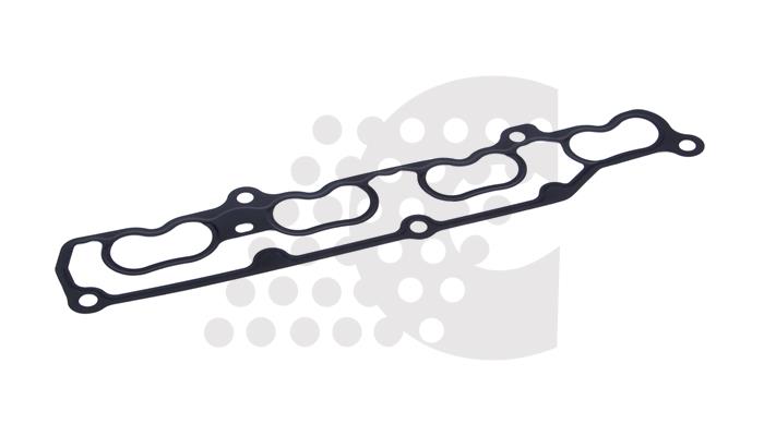 EMME MANIFOLD CONTASI - 3 7036 19